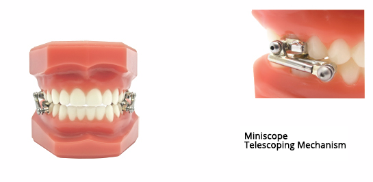 miniscope